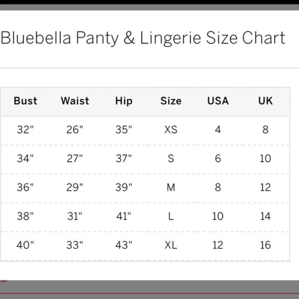 Bluebella Orion harness garter